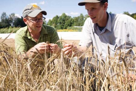 Seed Matters Grants Nation’s First Organic Plant-Breeding Fellowships Image